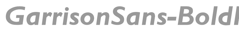 GarrisonSans-BoldItalic