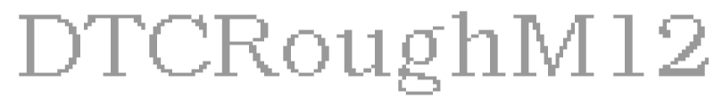 DTCRoughM12