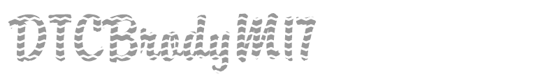 DTCBrodyM17