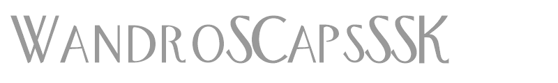 WandroSCapsSSK