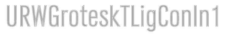 URWGroteskTLigConIn1