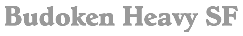 Budoken Heavy SF