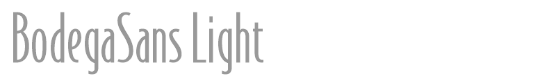 BodegaSansLight