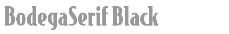 BodegaSerif