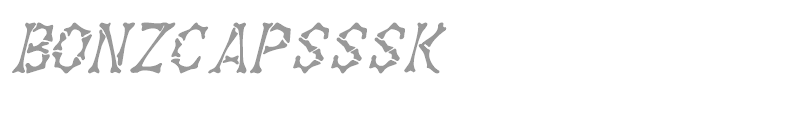 BonzCapsSSK