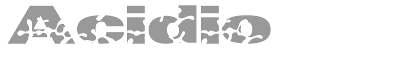 Acidio