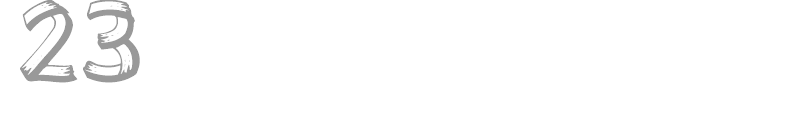 23