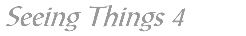 Seeing Things 4