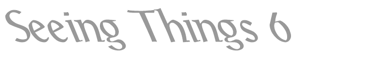 Seeing Things 6