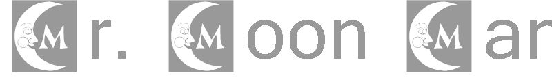 Mr. Moon Man
