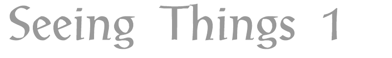 Seeing Things 1