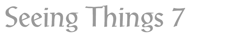 Seeing Things 7