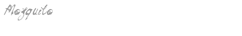 Mosquito
