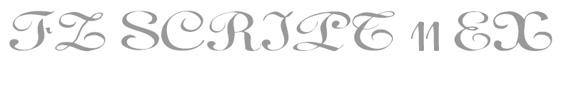 FZ SCRIPT 11 EX