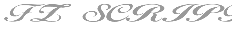 FZ SCRIPT 12 EX