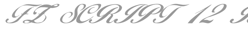 FZ SCRIPT 12 ITALIC