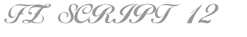 FZ SCRIPT 12