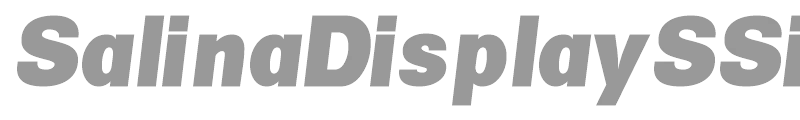 SalinaDisplaySSi