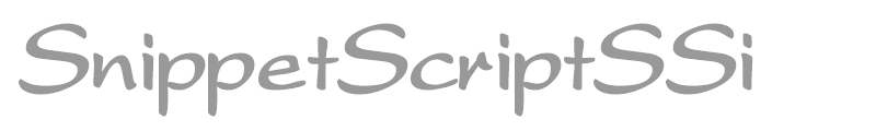 SnippetScriptSSi