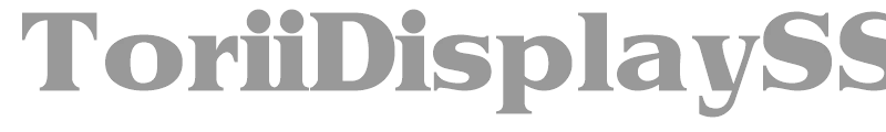ToriiDisplaySSi