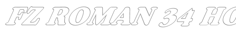 FZ ROMAN 29 HOLLOW ITALIC