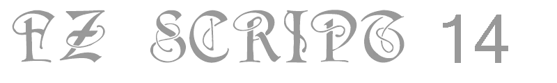 FZ SCRIPT 14