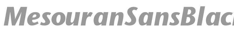 MesouranSansBlackSSi
