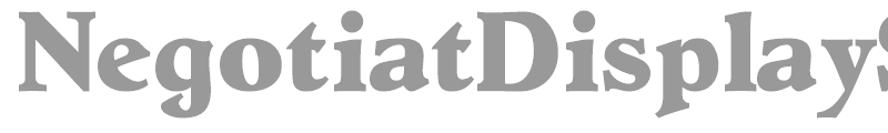 NegotiatDisplaySSi