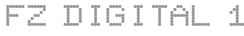 FZ DIGITAL 11