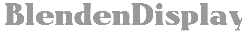 BlendenDisplaySSi