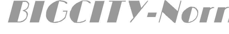 BIGCITY-Normal Italic