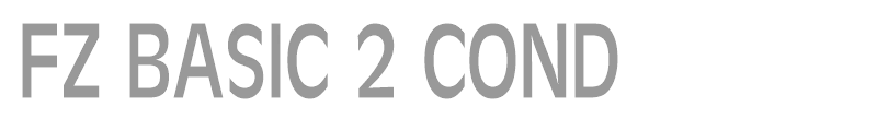 FZ BASIC 2 COND
