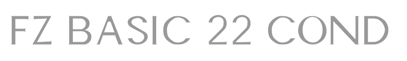 FZ BASIC 22 COND