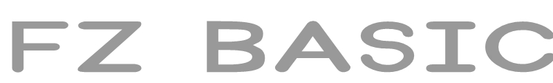 FZ BASIC 31 EX