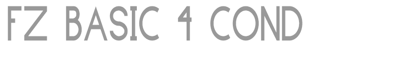 FZ BASIC 4 COND