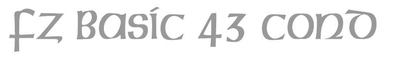 FZ BASIC 43 COND