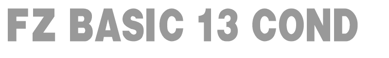 FZ BASIC 13 COND