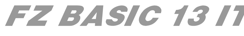 FZ BASIC 13 ITALIC