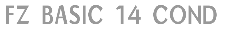FZ BASIC 14 COND