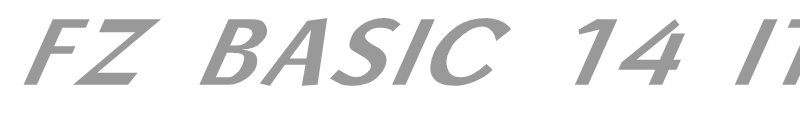 FZ BASIC 14 ITALIC