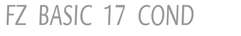 FZ BASIC 17 COND