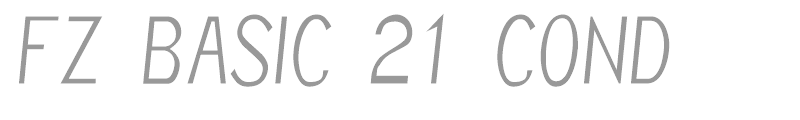 FZ BASIC 21 COND