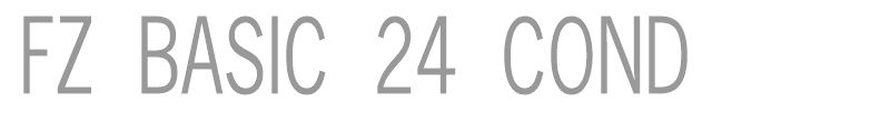 FZ BASIC 24 COND