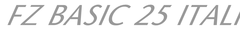 FZ BASIC 25 ITALIC