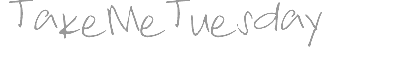 Take Me Tuesday