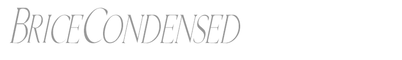 BriceCondensed