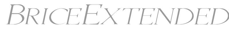 BriceExtended