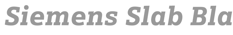 Siemens Slab Black