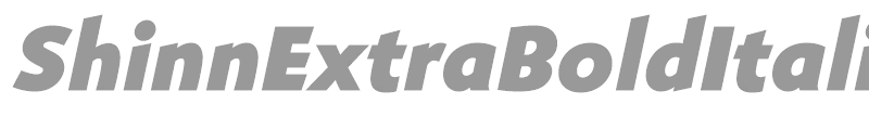ShinnExtraBoldItalic