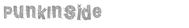 Punk Inside